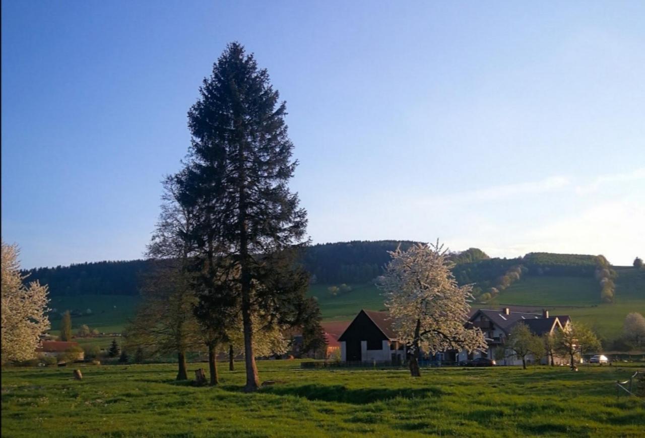 Agroturystyka "U Kasi" Scinawka Gorna Экстерьер фото