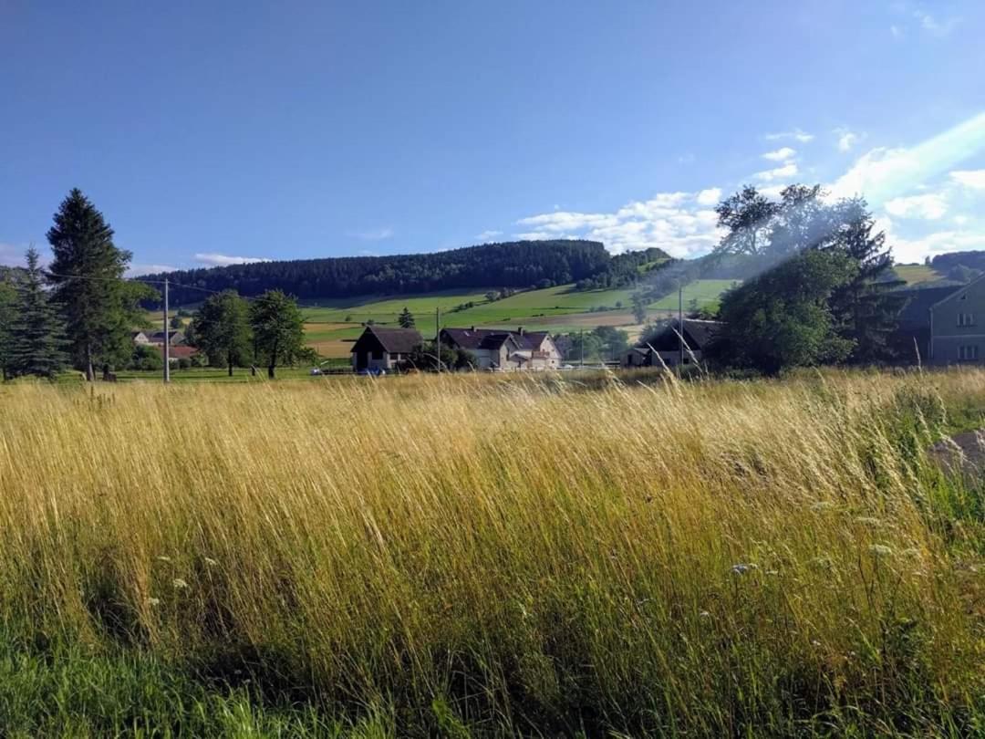 Agroturystyka "U Kasi" Scinawka Gorna Экстерьер фото