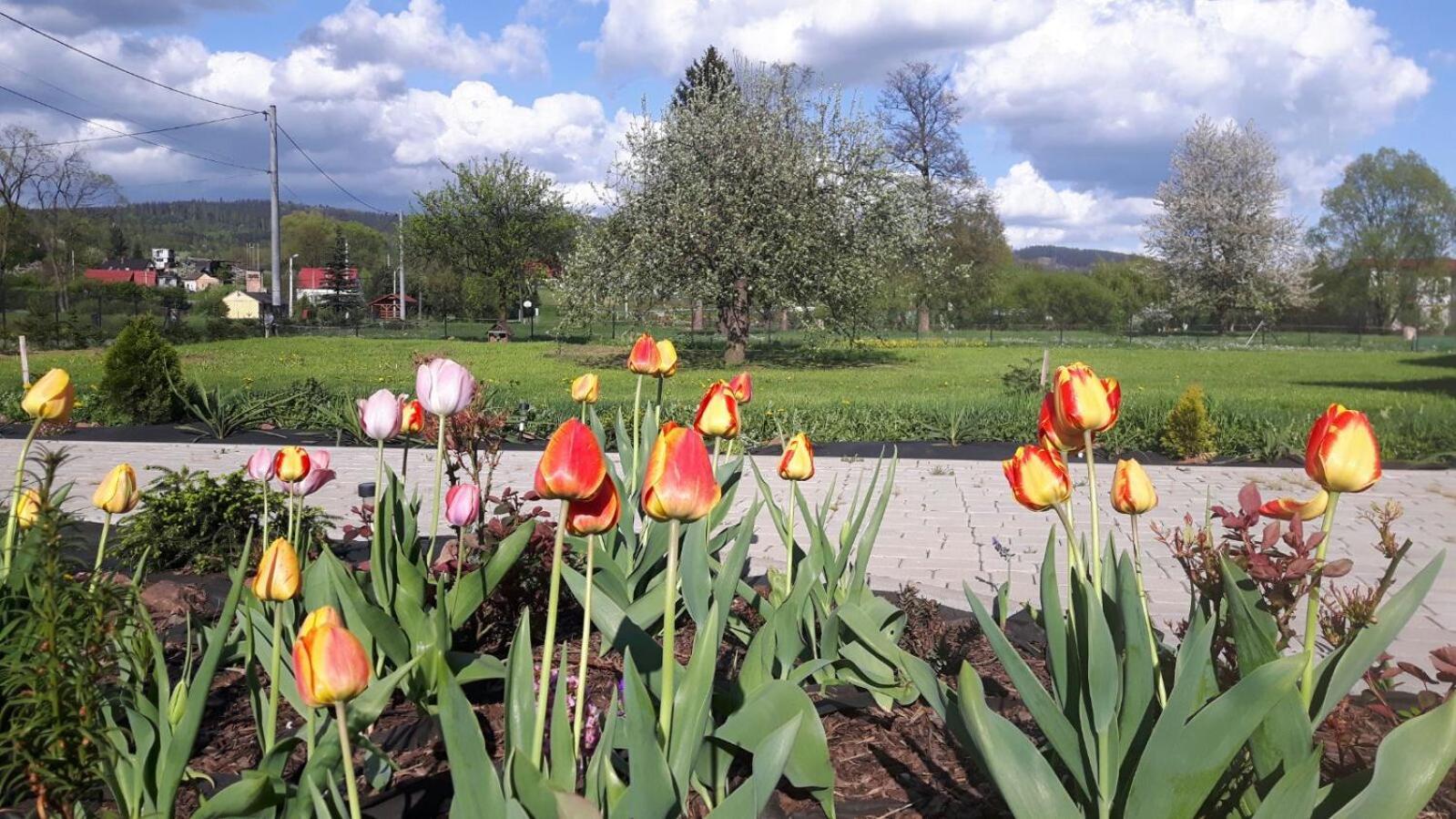 Agroturystyka "U Kasi" Scinawka Gorna Экстерьер фото