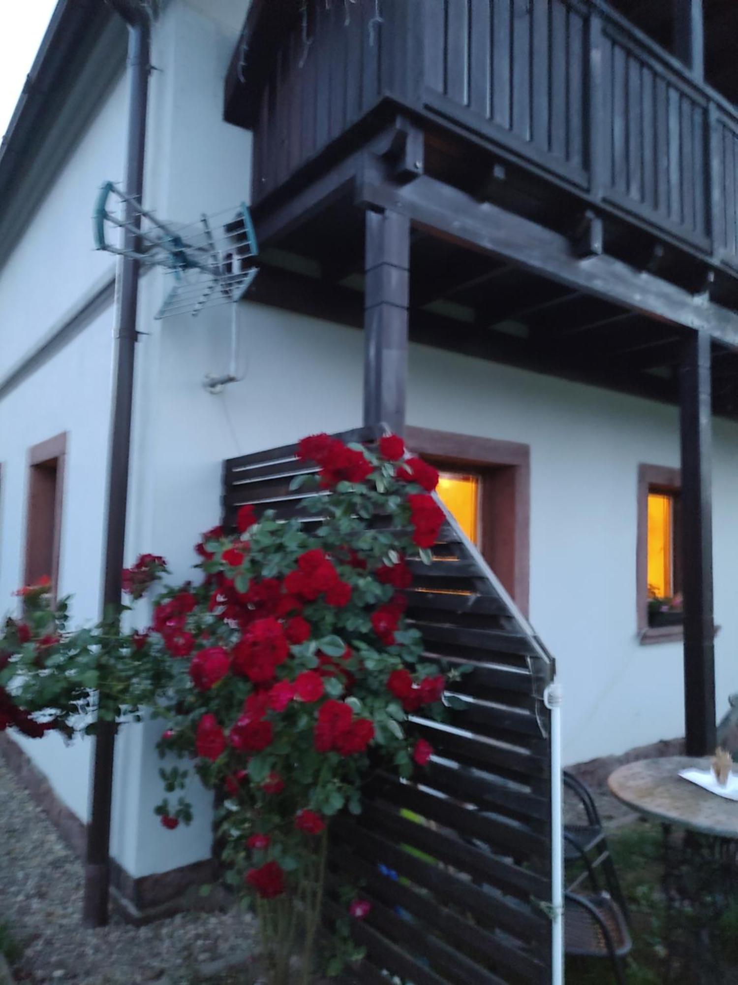 Agroturystyka "U Kasi" Scinawka Gorna Экстерьер фото
