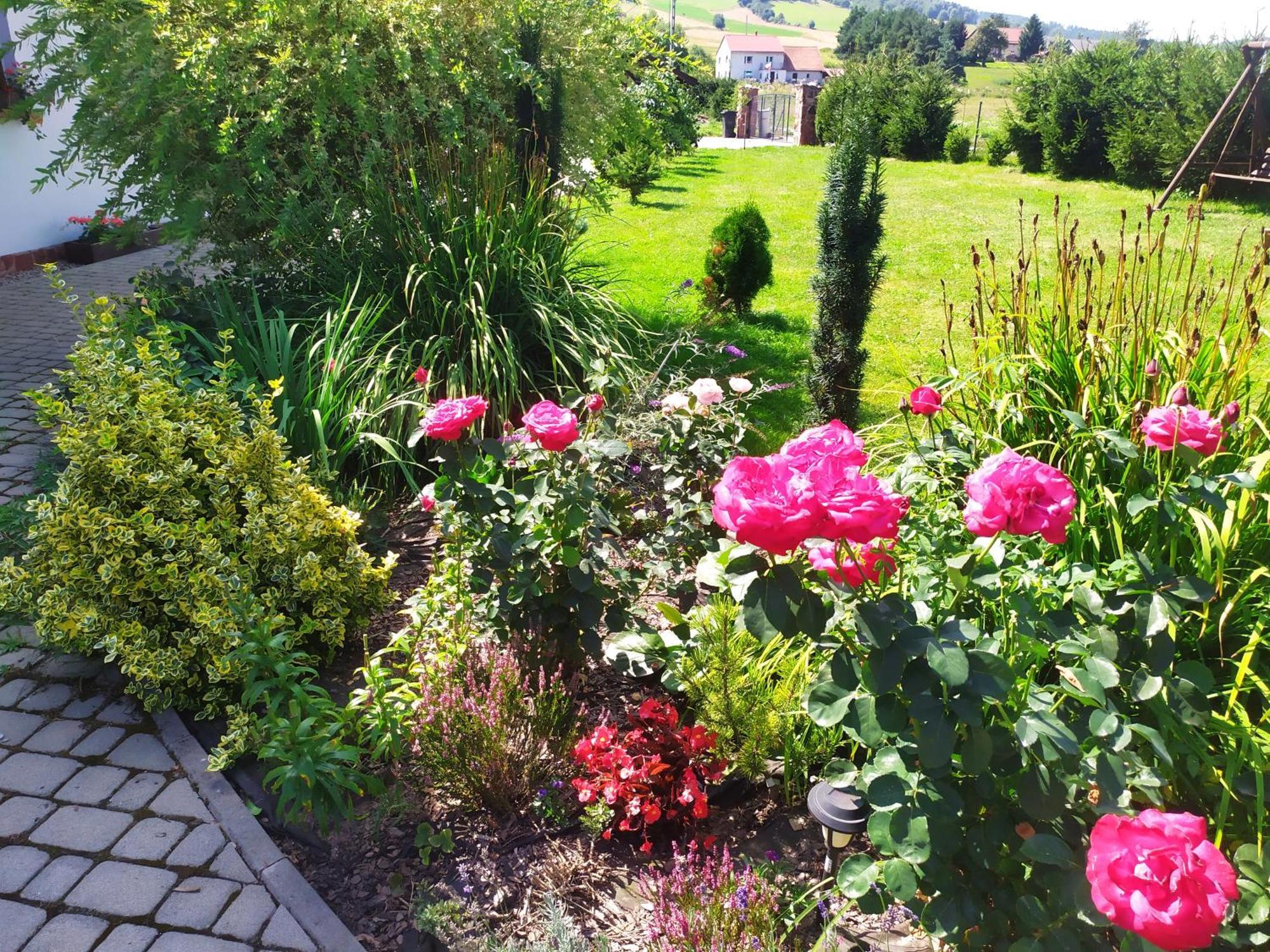 Agroturystyka "U Kasi" Scinawka Gorna Экстерьер фото
